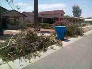 Yard Waste Removal in Phoenix AZ